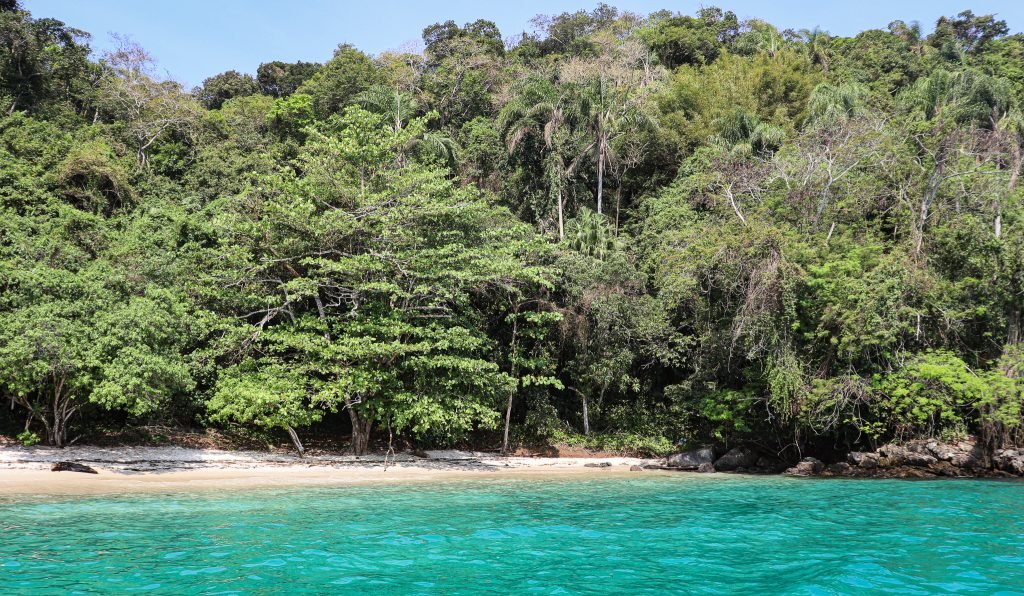 Praia de Grumixama - Ilha Grande - Angra dos Reis 