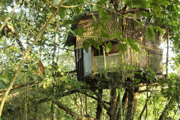 Casa na árvore em Paraty 