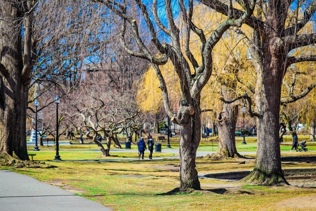 Parque em Boston. Árvores e pessoas caminhando 