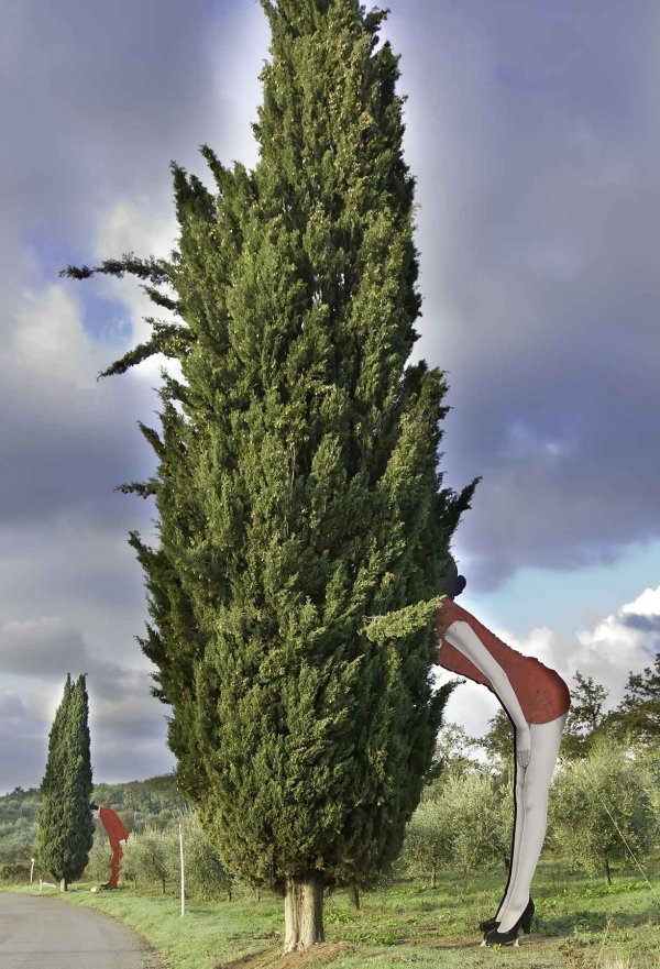 Arvores com obra de arte no formato da perna de uma mulher na rota do vinho chianti 
