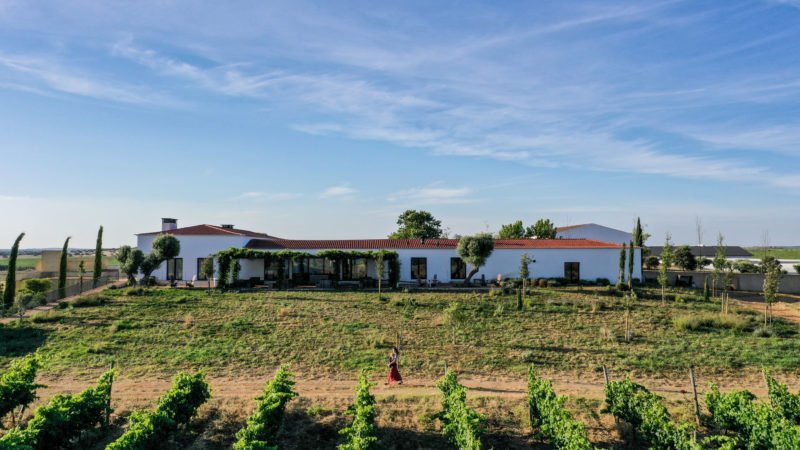 Vinícola do Alentejo 