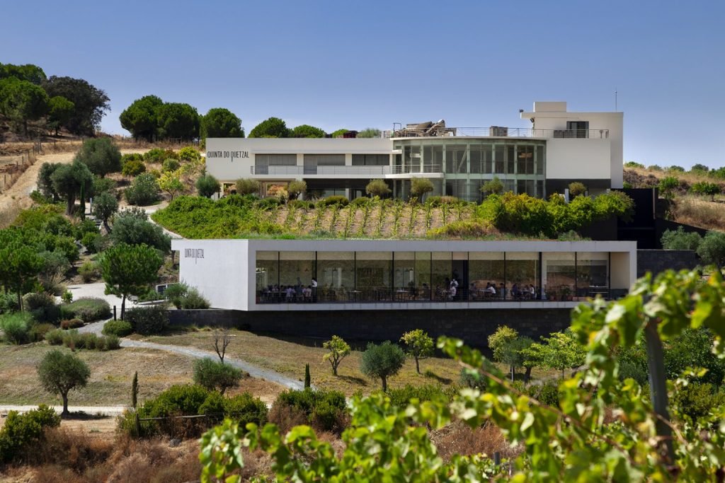 Vinícola do Alentejo 