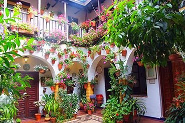 Patios-Cordobeses-San-Basilio-Cordoba-Espanha